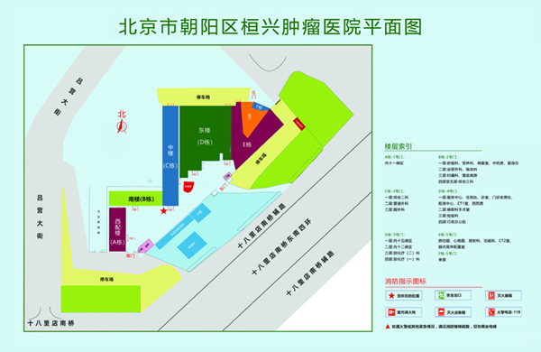 逼特逼重口在线看北京市朝阳区桓兴肿瘤医院平面图